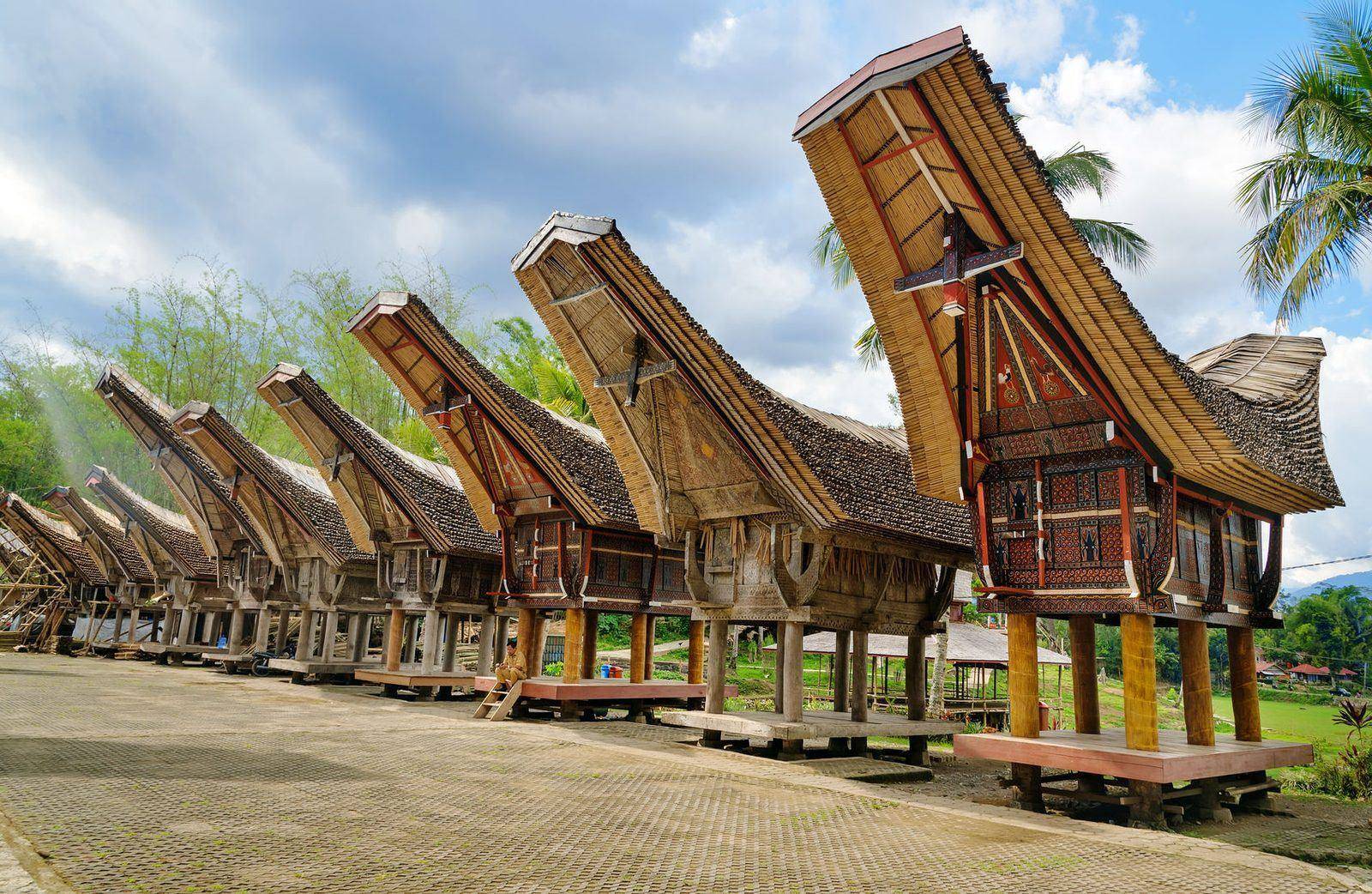 Tongkonan houses, Tana Toraja